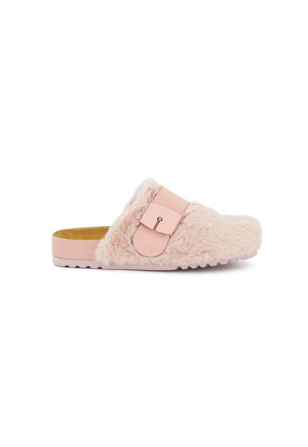 Scholl ALASKA