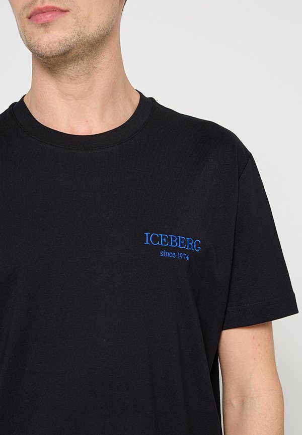 Iceberg