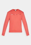 Champion ICONS CREWNECK WITH LARGE TONAL LOGO