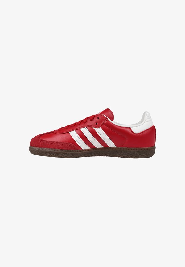 adidas Performance Training shoe - rot