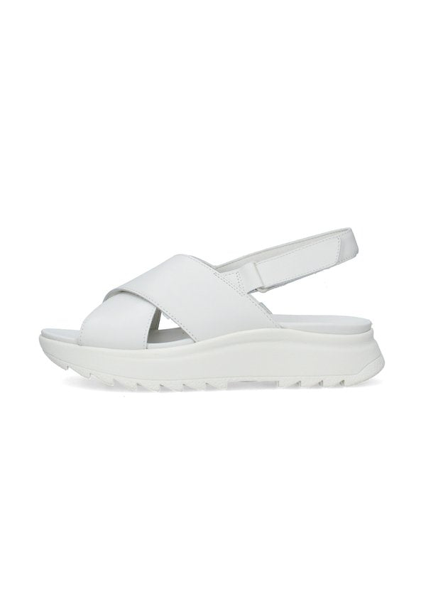 Clarks 186583