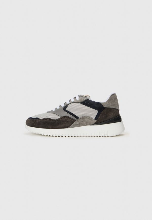 Pollini