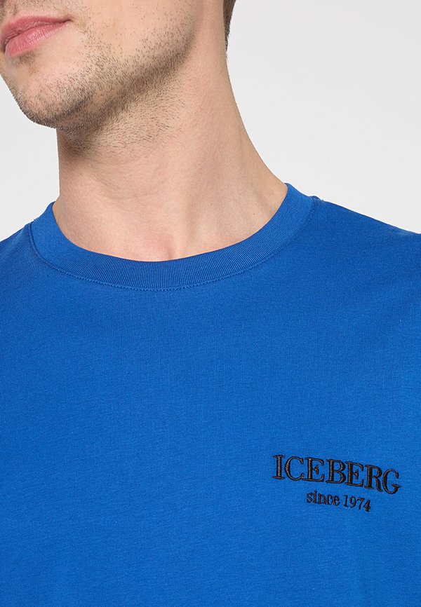 Iceberg