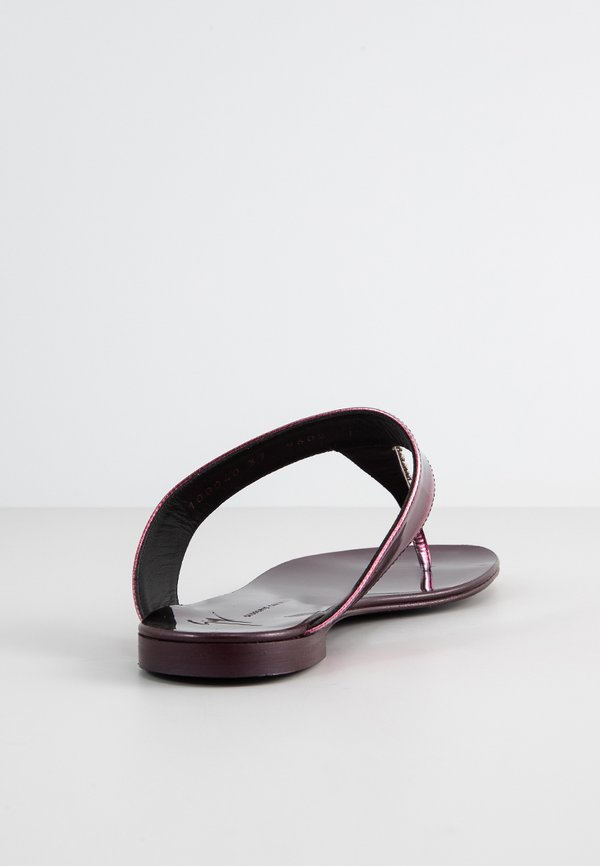 Giuseppe Zanotti