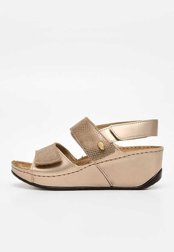 Scholl ABERDEEN