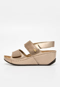 Scholl ABERDEEN