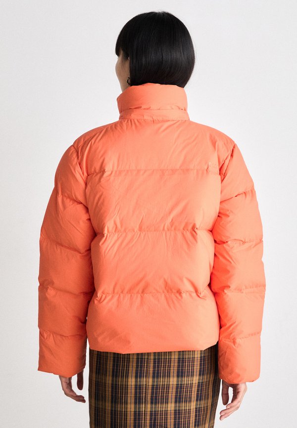 Lacoste BF3262_XFJ