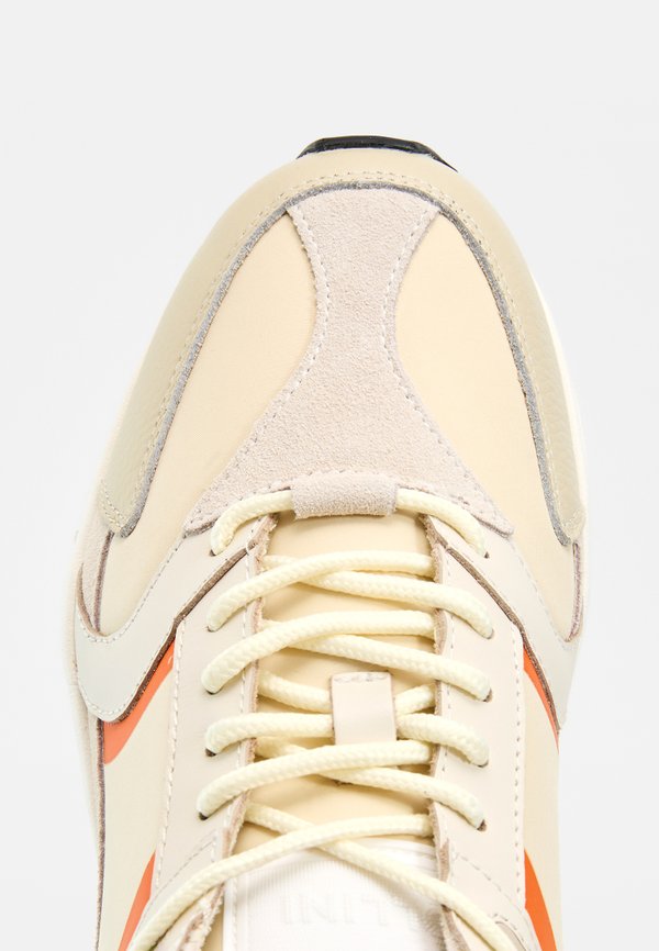 Pollini