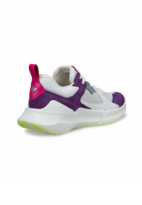 ECCO BIOM 2.2