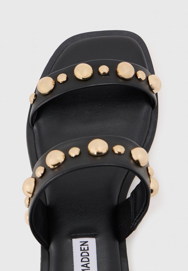 Steve Madden