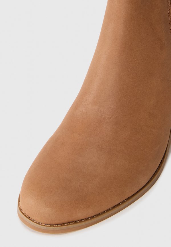 TOMS EVELYN