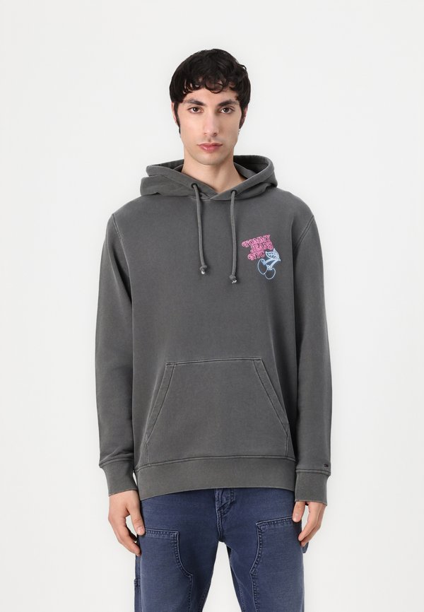 Tommy Jeans NOVELTY FAIR HOODIE