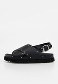 Scholl DALIA