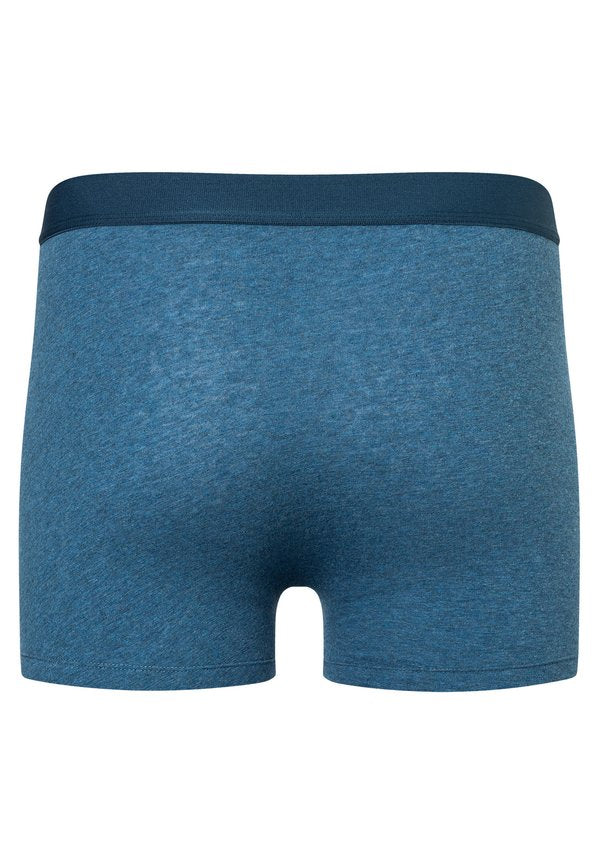 camano 2 PACK