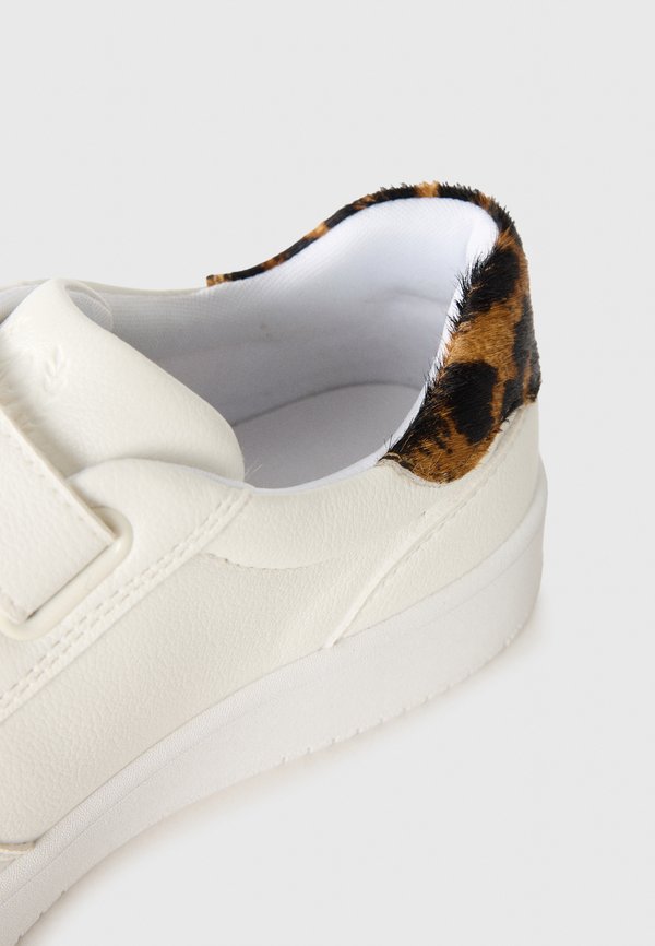 ALDO