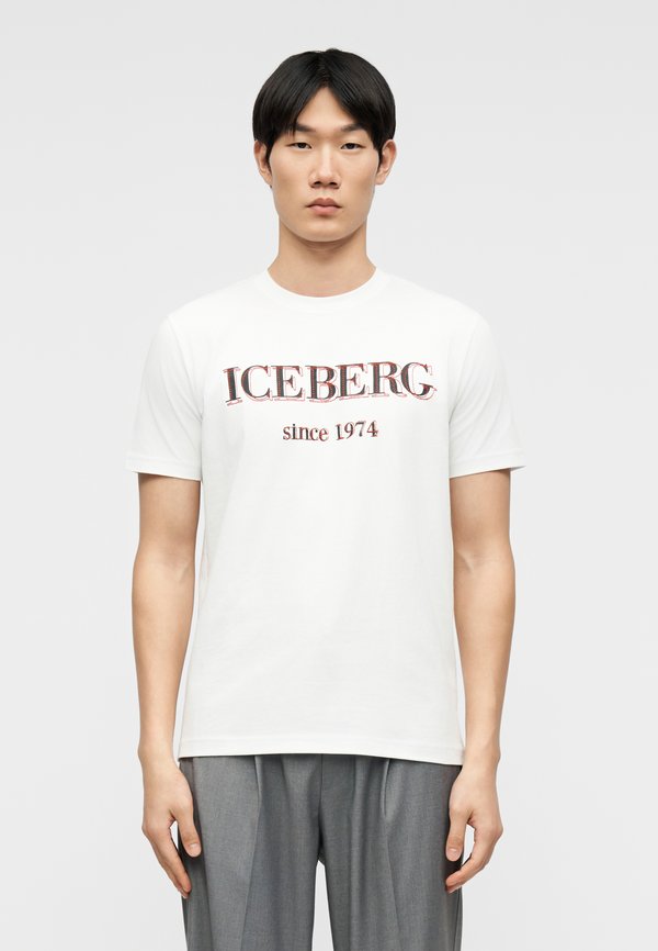 Iceberg