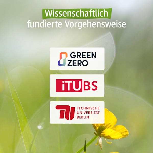 Festes Rasierstück Aloe Vera & Kamille alverde NATURKOSMETIK