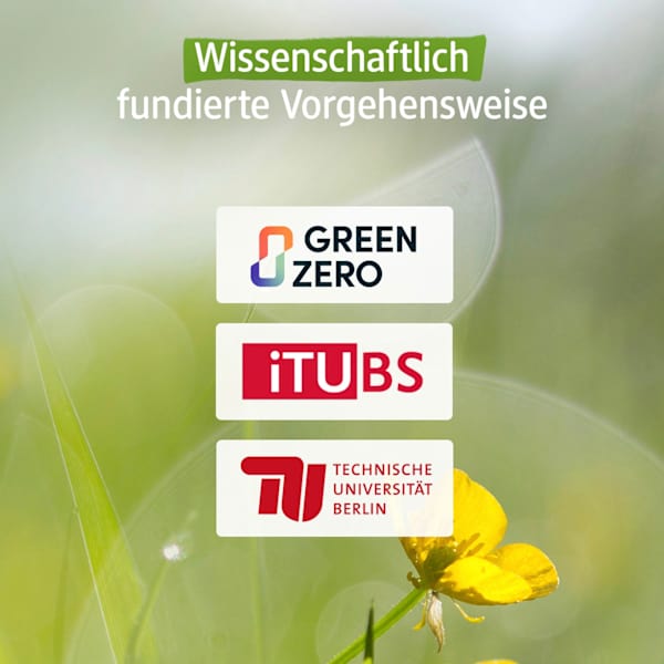 Flüssigseife Mandelblüte & Vanille, Nachfüllpack alverde NATURKOSMETIK