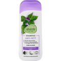 Shampoo Anti-Fett alverde NATURKOSMETIK