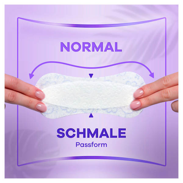 Slipeinlagen Daily Fresh Normal ohne Duft, Big Pack always