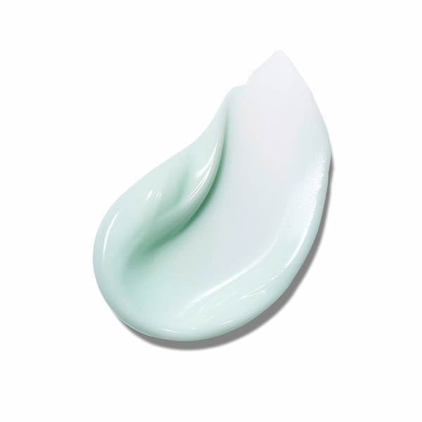 Gesichtscreme PDRN Moisture Cream 100 Hyaluronic Acid Anua