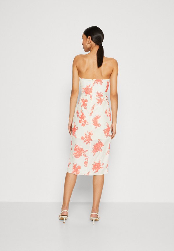 Jarlo FLEUR