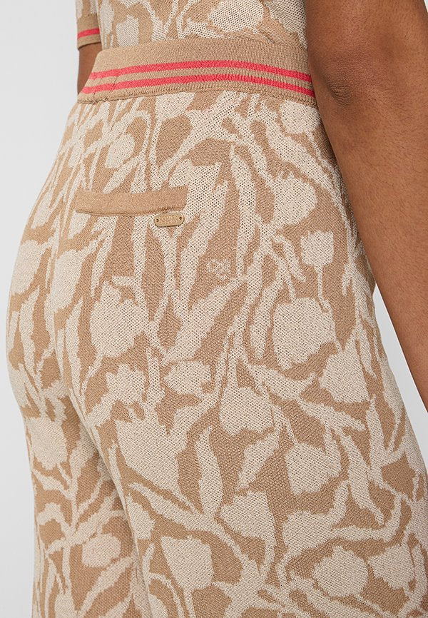 Scotch & Soda