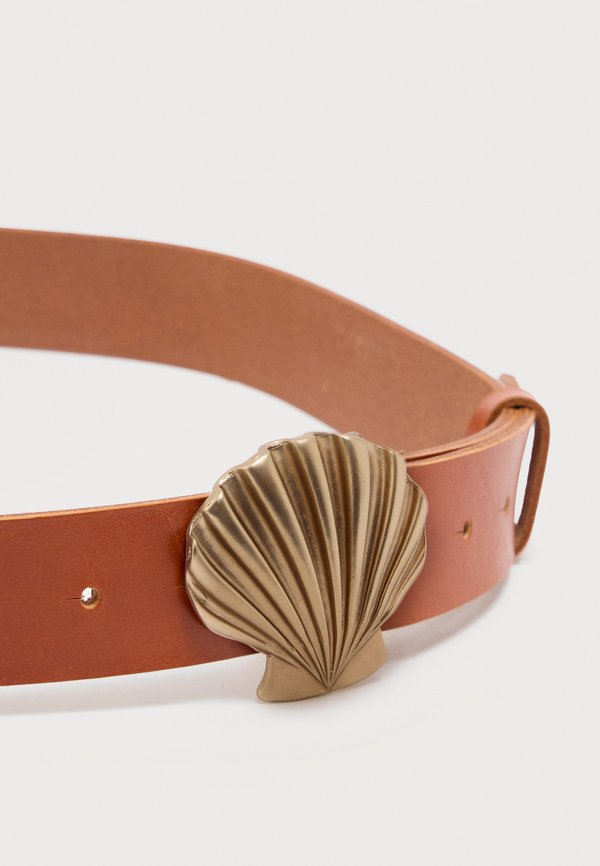 Vanzetti BELT