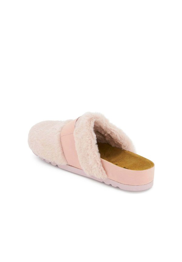 Scholl ALASKA