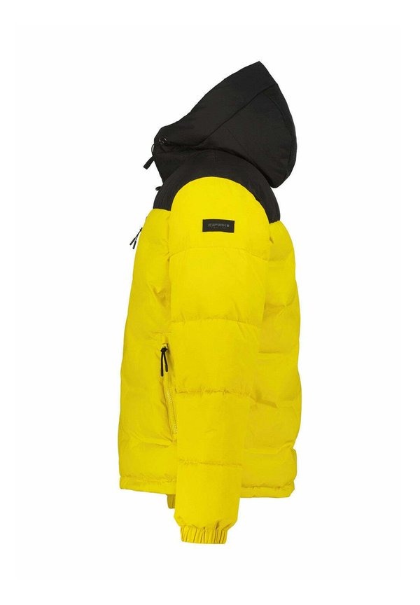 Icepeak AMERI