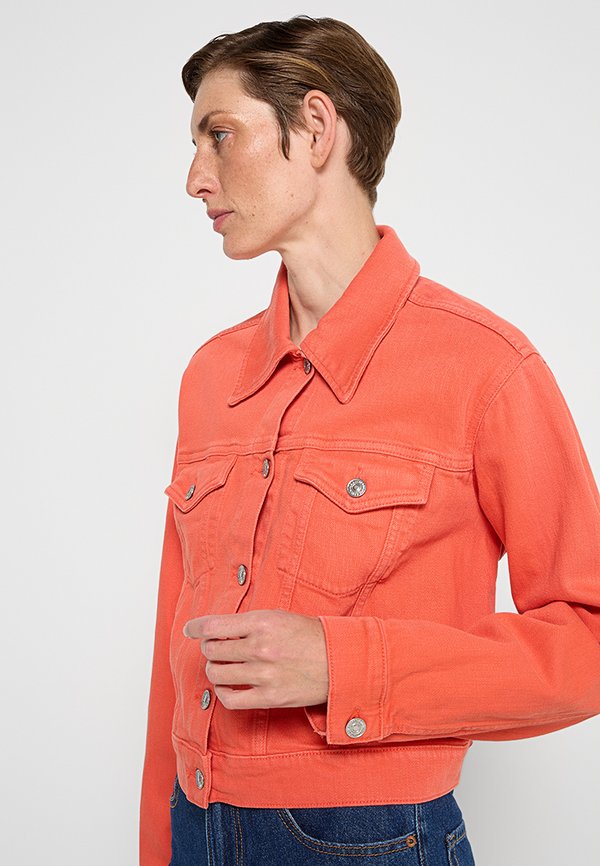 7 for all mankind NELLIE