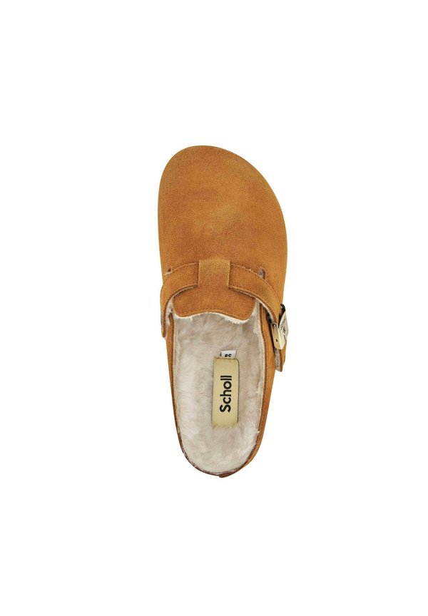 Scholl GRACE