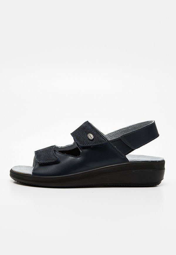 Scholl ANTONIA