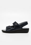 Scholl ANTONIA