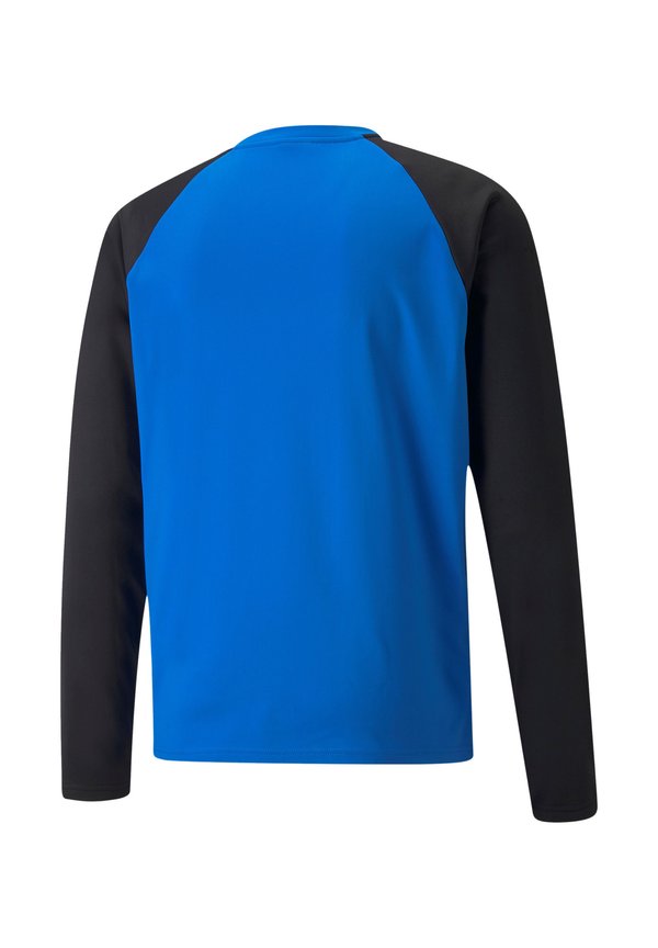 Puma TEAMLIGA