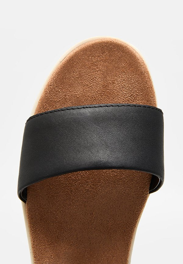 TOMS BRYNN
