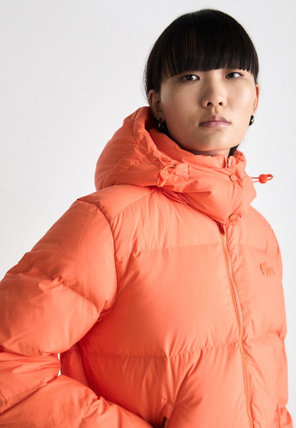Lacoste BF3262_XFJ