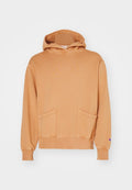 Champion Rochester SKATE AND STREET HOODIE