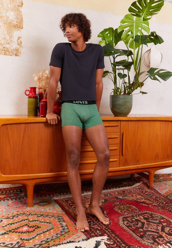 Levi's® OPTICAL ILLUSION 2 PACK - Trunks - green