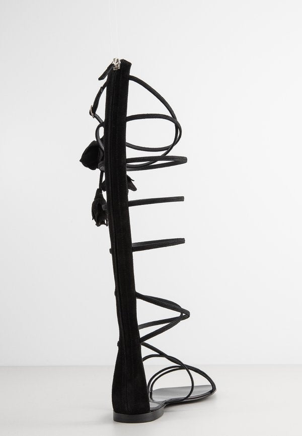 Giuseppe Zanotti