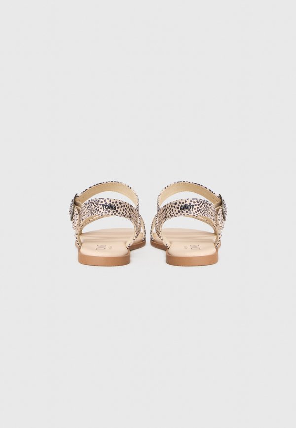 TOMS KACIE