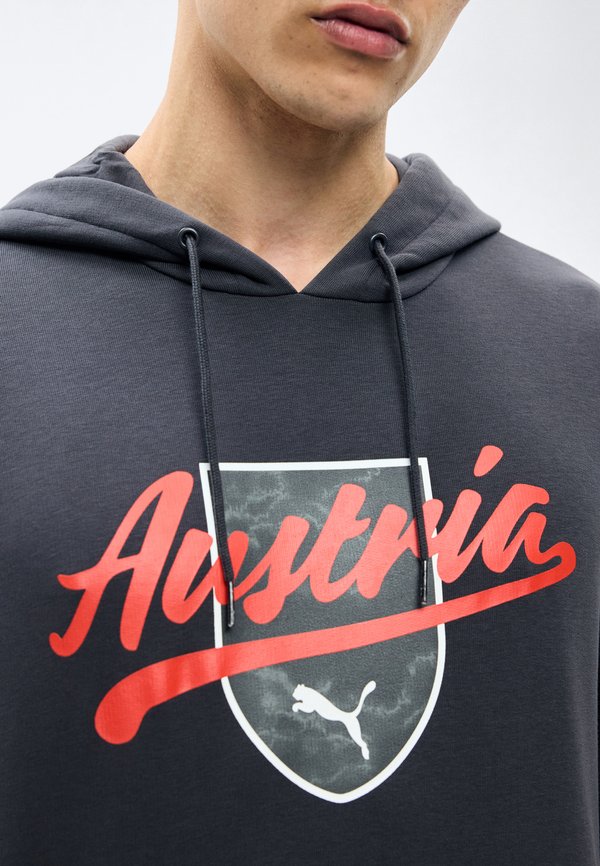 Puma AUSTRIA ÖFB FTBLCULTURE HOODIE