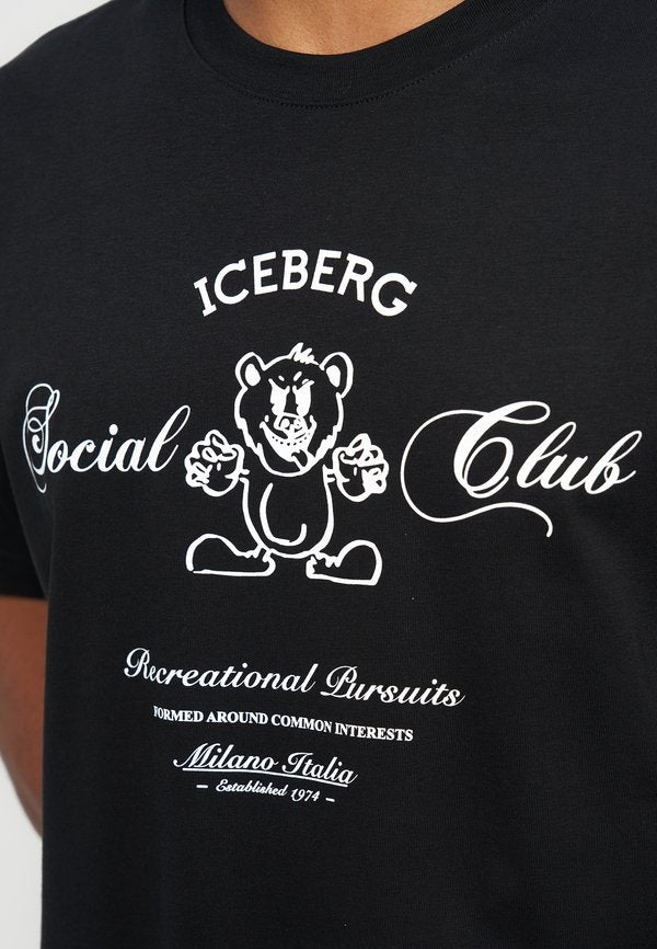 Iceberg
