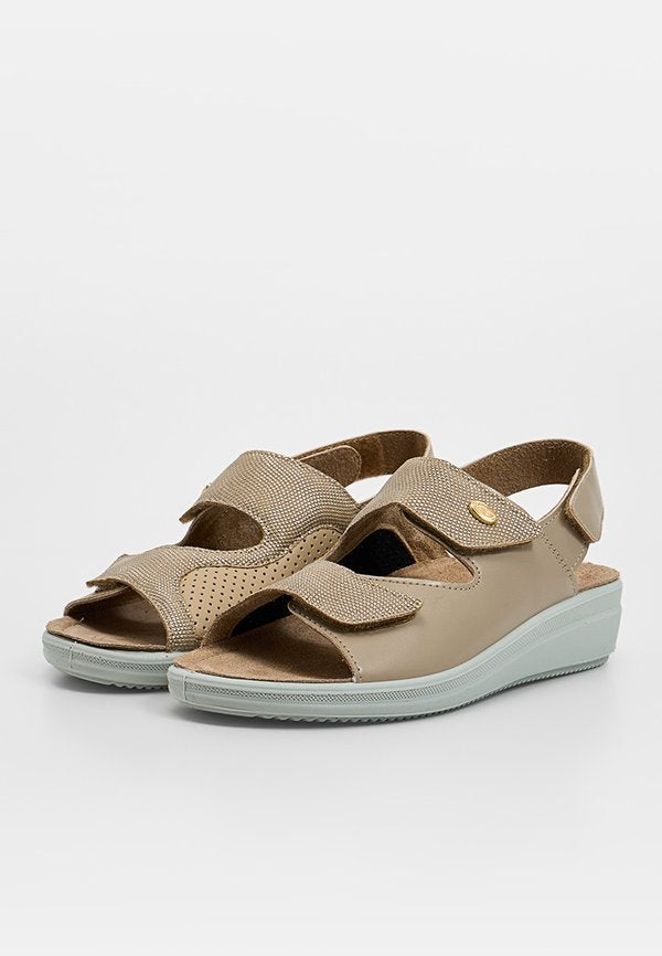 Scholl ANTONIA