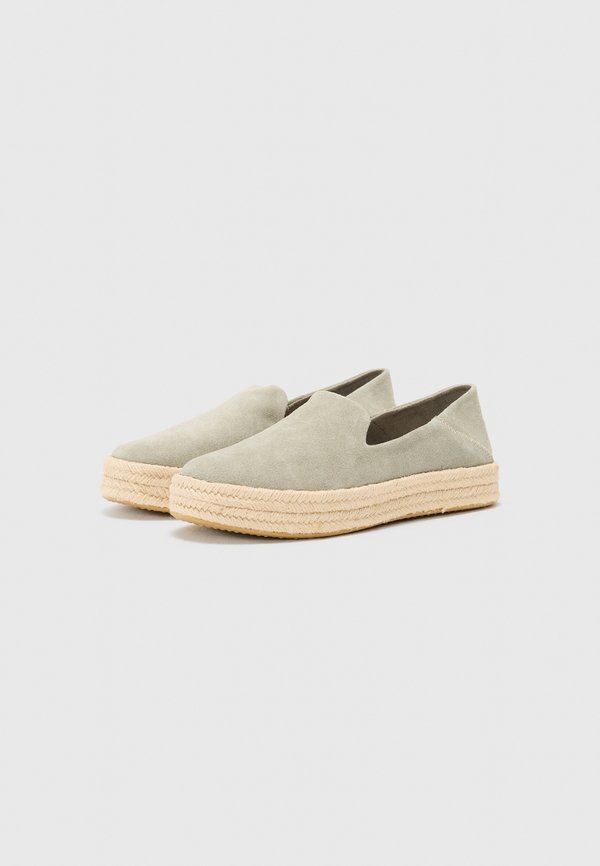 TOMS CAROLINA