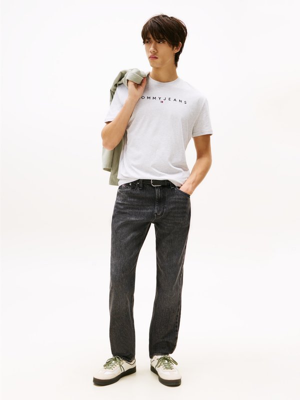 Tommy Jeans TJM REG LINEAR LOGO TEE EXT