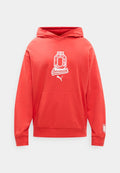 Puma AUSTRIA ÖFB FTBLCULTURE RELAXED HOODIE