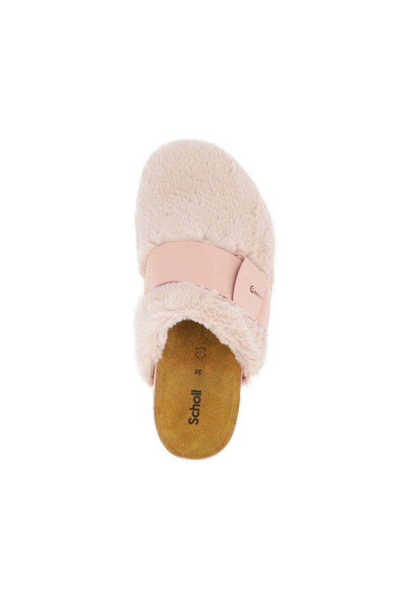Scholl ALASKA