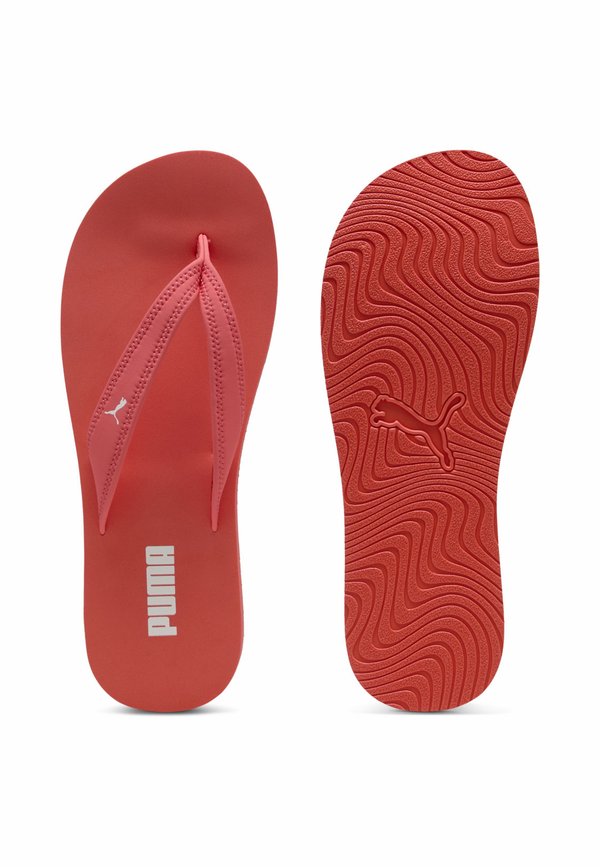 Puma SANDY