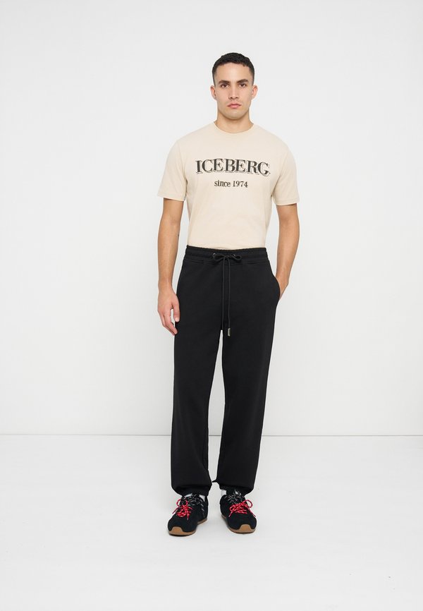Iceberg